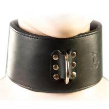 Широкий ошейник. Нет в наличии Широкий ошейник