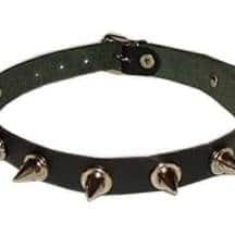 Шипованный ошейник. Нет в наличии Шипованный ошейник