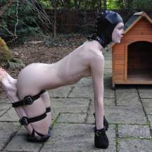 Стиль собачки: что такое pet-play и с чем его едят?