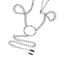 Зажимы для сосков и клитора Toyfa Theatre на цепочке, серебристый