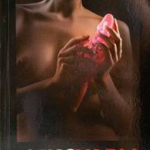 Книга "Сексуары или как сервировать супружескую постель" (новая версия)