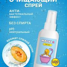 Очищающий спрей Москва Чистая, 100 мл