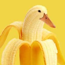 Обрезанный и необрезанный член: разница в сексе