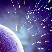 17 фактов о сперме, о которых многие не догадывались