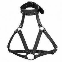 Портупея женская Ouch Skulls and Bones с чокером, чёрный. Нет в наличии Портупея женская Ouch Skulls and Bones с чокером, чёрный