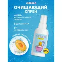 Очищающий спрей Москва Чистая, 100 мл