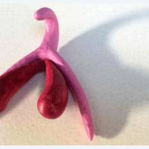 «ОГИЕНИВАНИЕ», ИЛИ BOOST YOUR CLIT!