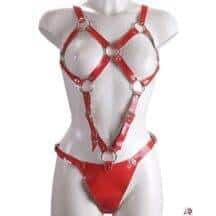 Сбруя красная из кожаных ремней. Нет в наличии Сбруя красная из кожаных ремней