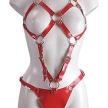 Сбруя красная из кожаных ремней