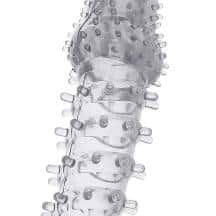 Насадка на член с усиками и ребрами Toyfа, бесцветная