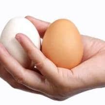 15 интересных фактов о мужских яичках