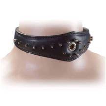 Ошейник с люверсом Подиум, черный. Нет в наличии Ошейник с люверсом Подиум, черный
