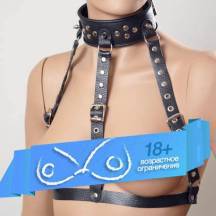 Ошейник-сбруя черный. Нет в наличии Ошейник-сбруя черный
