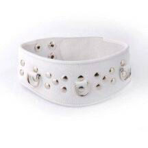 Ошейник белый. Нет в наличии Ошейник белый
