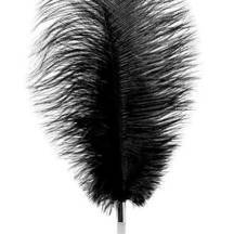 Страусиное перо Toyfa Theatre 40.5 см, черное