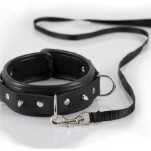 Ошейник с поводком Orion Bad Kitty Collar with leash