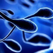 5 мифов о вреде и пользе спермы