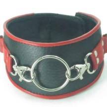 Ошейник с кольцом. Нет в наличии Ошейник с кольцом
