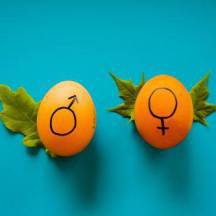 20 вредных стереотипов о сексе