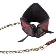 Чокер и поводок ORION Choker Asia