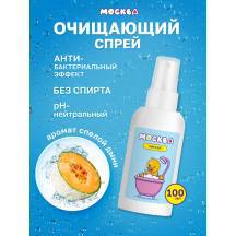 Очищающий спрей Москва Чистая, 100 мл