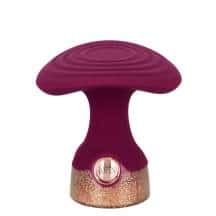 Мини-вибратор CalExotics Starstruck Fantasy, бордовый. Нет в наличии Мини-вибратор CalExotics Starstruck Fantasy, бордовый