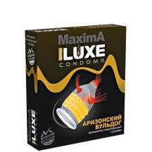 Презерватив Luxe Maxima Аризонский бульдог с усиками и точками, 1 шт