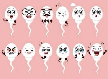 Секреты мужской спермы: 20 фактов, которые стоит знать