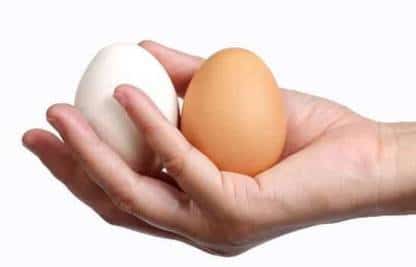 15 интересных фактов о мужских яичках 