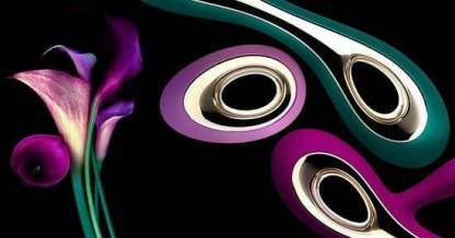 10 лучших секс-игрушек от Lelo