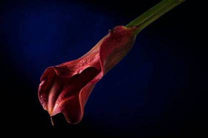 Как сделать массаж лингама