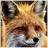 Oldfoxes