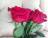 paulina_f