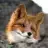 Fox3000