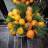 Flower95