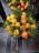 Flower95