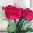 paulina_f