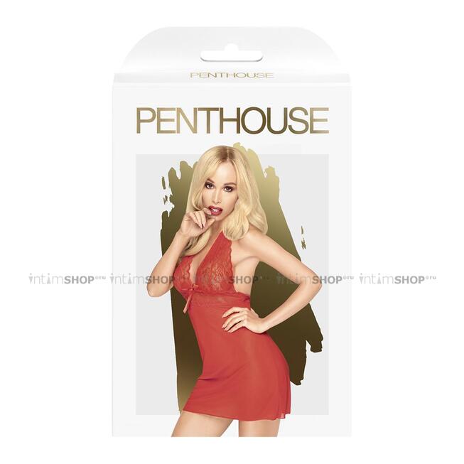 Сорочка и трусики Penthouse Sweet and Spicy S/M, красная - фото 3