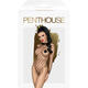 Боди-сетка Penthouse Scandalous XL, черное