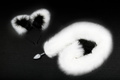 Анальная пробка Пикантные Штучки с чёрно-белым хвостом и ушками, серебристая, 7 см