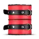 Набор БДСМ Secret Pleasure Chest Red Dragon 8 предметов, красный