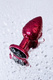 Анальная пробка Toyfa Metal с кристалом цвета турмалин, 7,2 см, красный