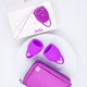 Набор менструальных чаш Lola Games Natural Wellness Tulip, 2 шт, фиолетовый