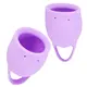 Набор менструальных чаш Lola Games Natural Wellness Orchid, 2 шт, сиреневый