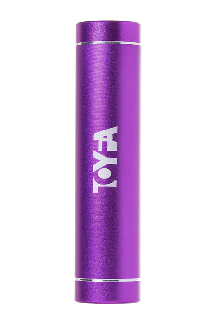 фото Портативное зарядное устройство Toyfa A-toys, 2400 mAh, microUSB