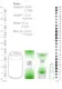 Продлевающий крем PharmQuests Natural CBD, 50 мл