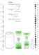 Продлевающий лубрикант PharmQuests Numbing Natural CBD на водной основе, 50 мл