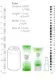 Продлевающий лубрикант PharmQuests Numbing Natural CBD на водной основе, 50 мл