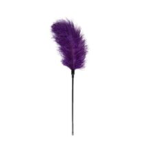 Пёрышко для тиклинга Easytoys Feather, фиолетовый