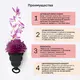 Менструальная чаша Gvibe Gcup, черная